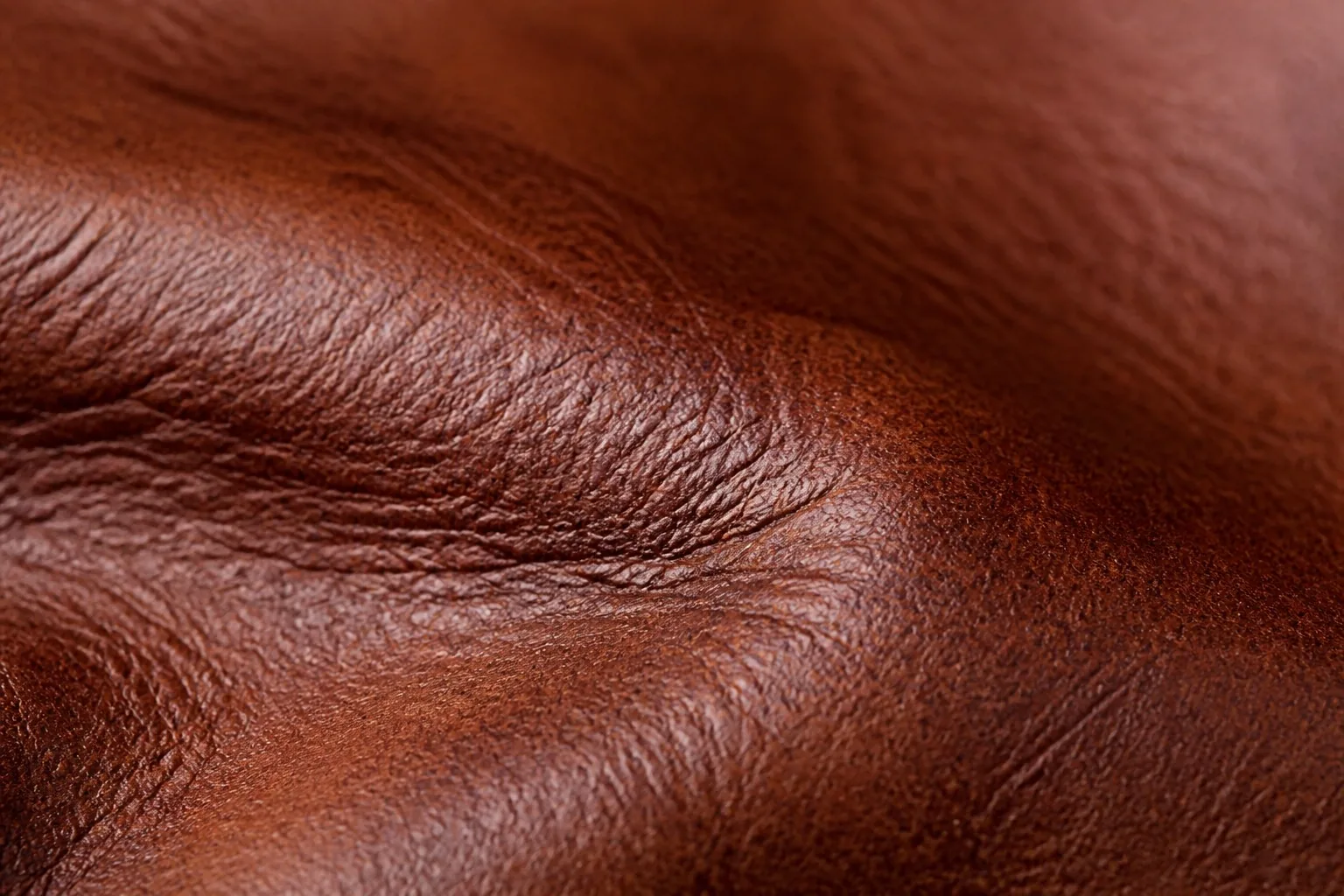 Close-up of cowhide leather surface with natural grain and pores