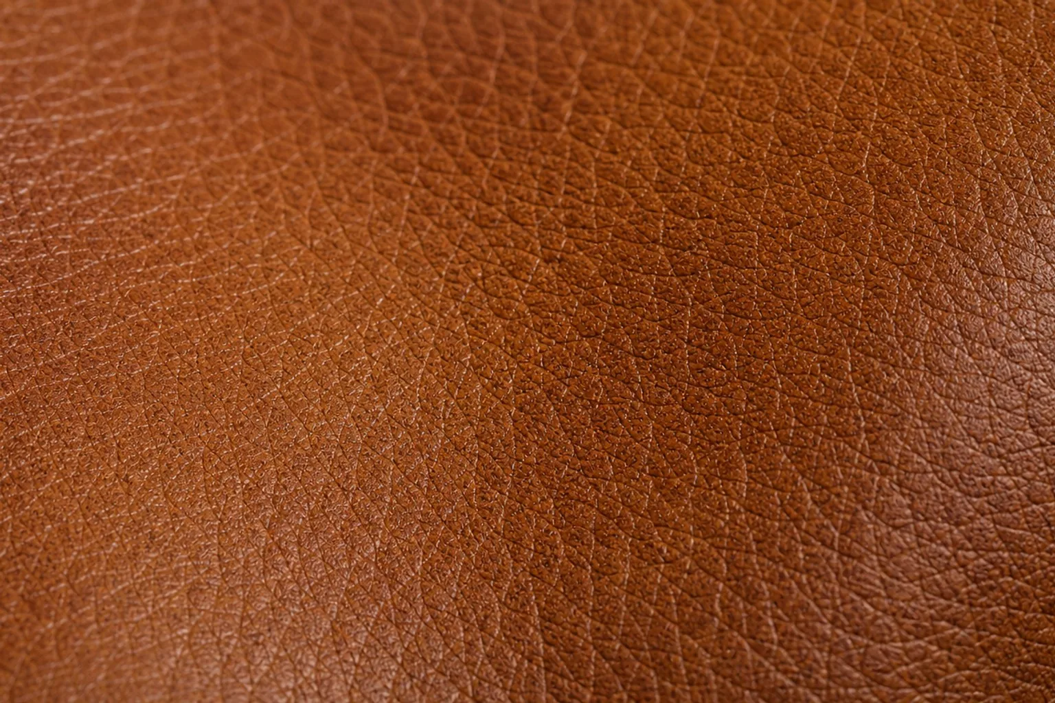 Extreme close-up of genuine full-grain leather showing natural pores and grain