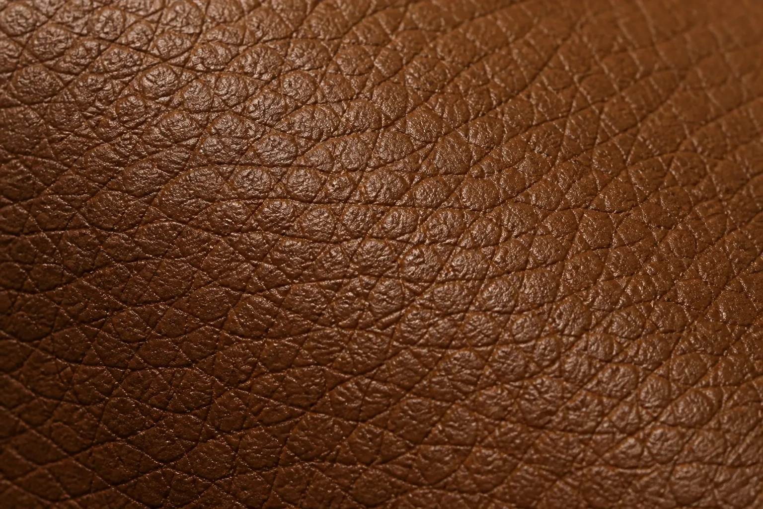 Close-up of goatskin leather with pebbled grain texture