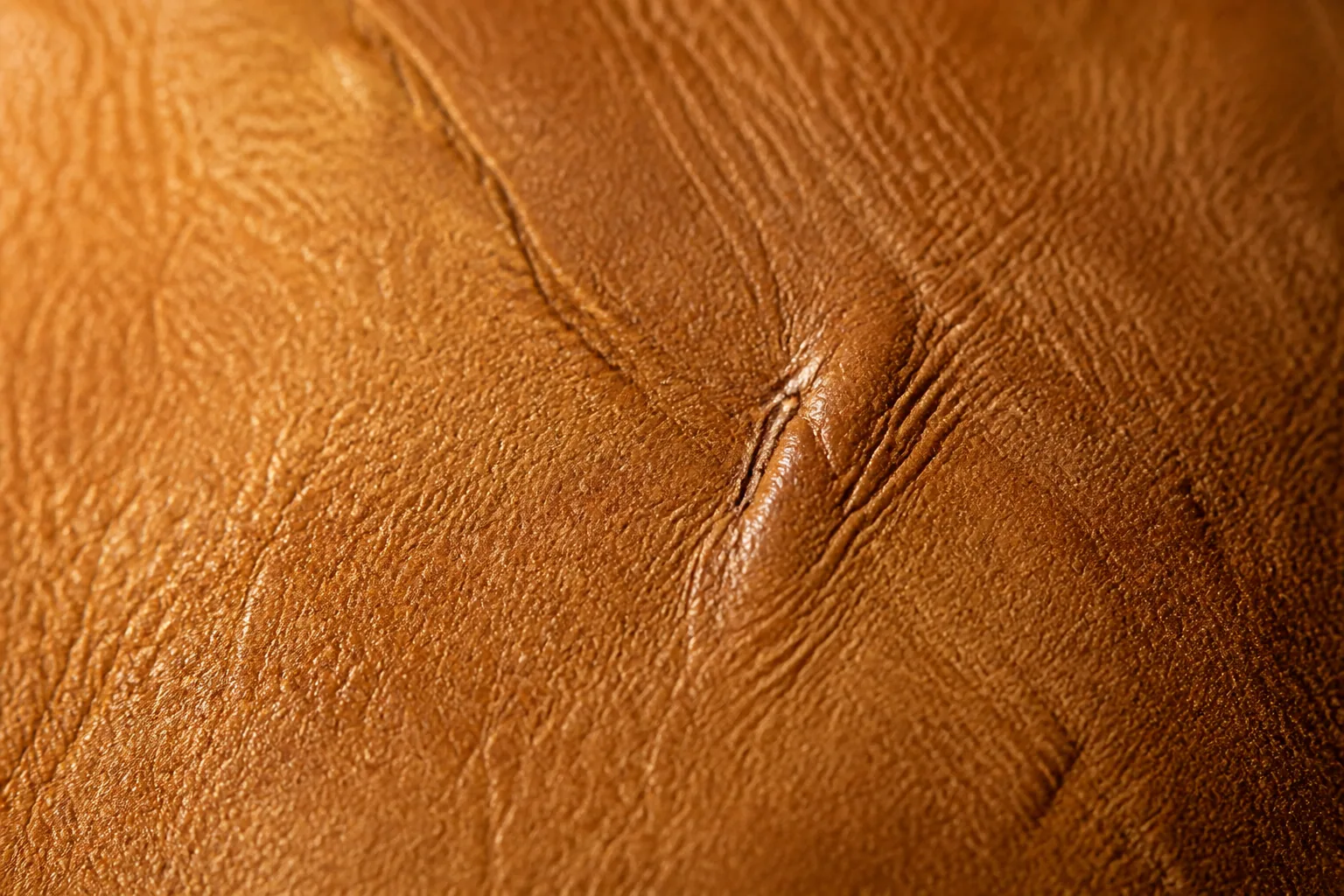 A macro view of a healed scar and grain structure on natural leather