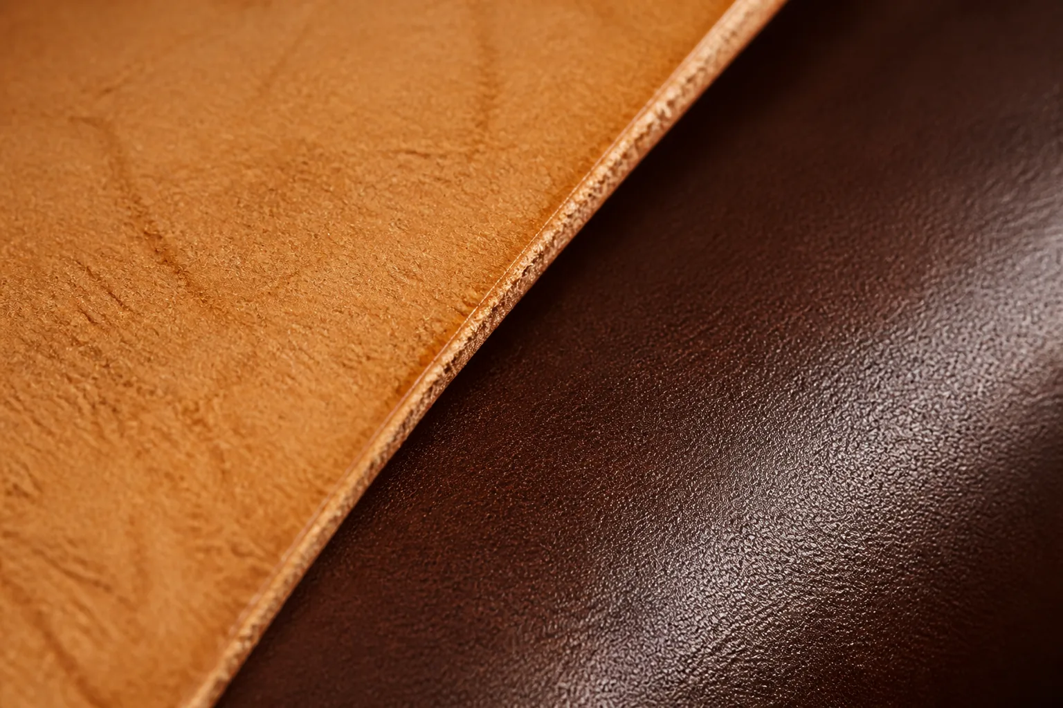 Macro comparison of vegetable-tanned and chrome-tanned leather surfaces