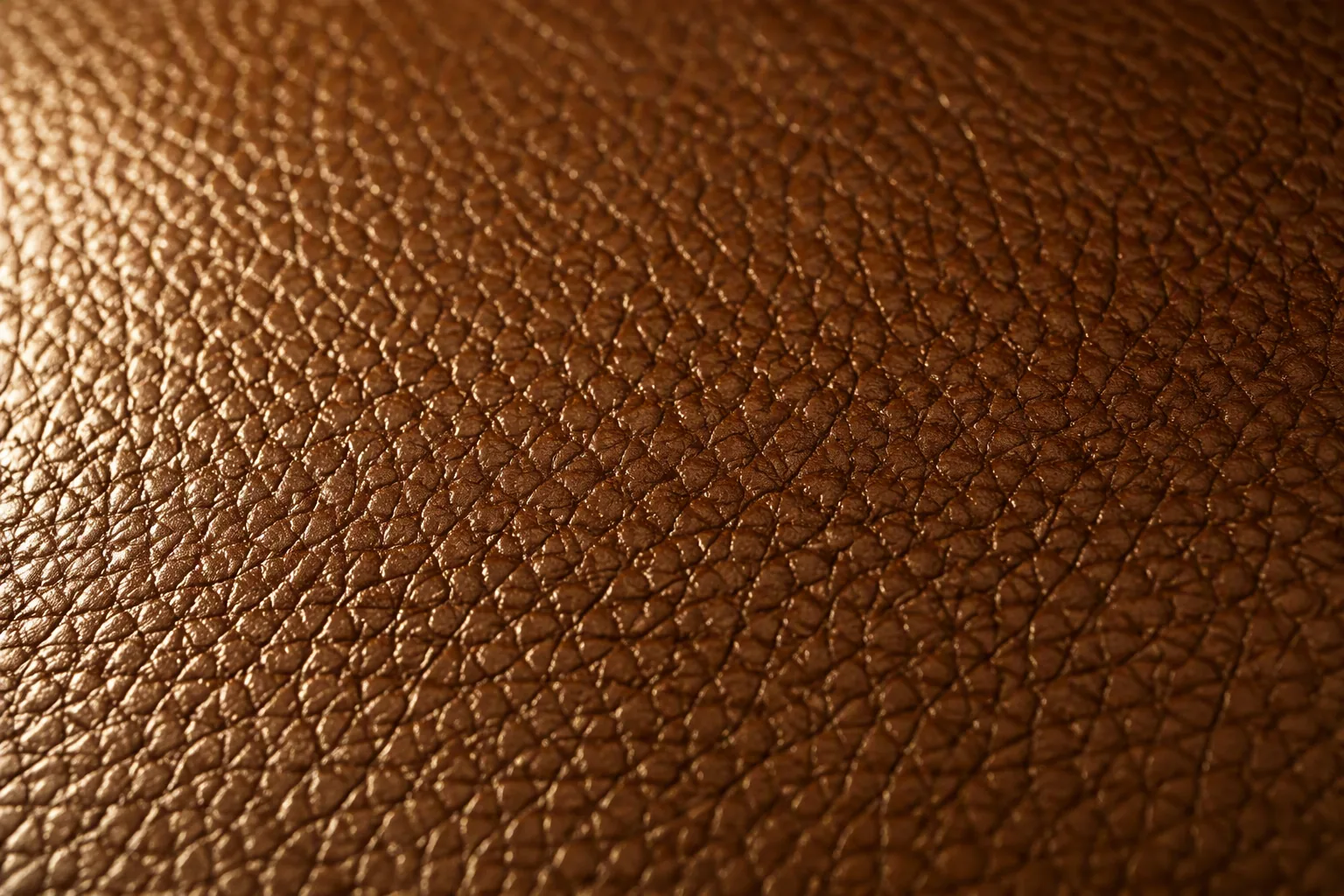 Fine pebbled grain leather seen under raking light